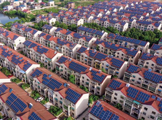 @所有人 低碳环保还能增收，快来打卡“浙”里闪光点