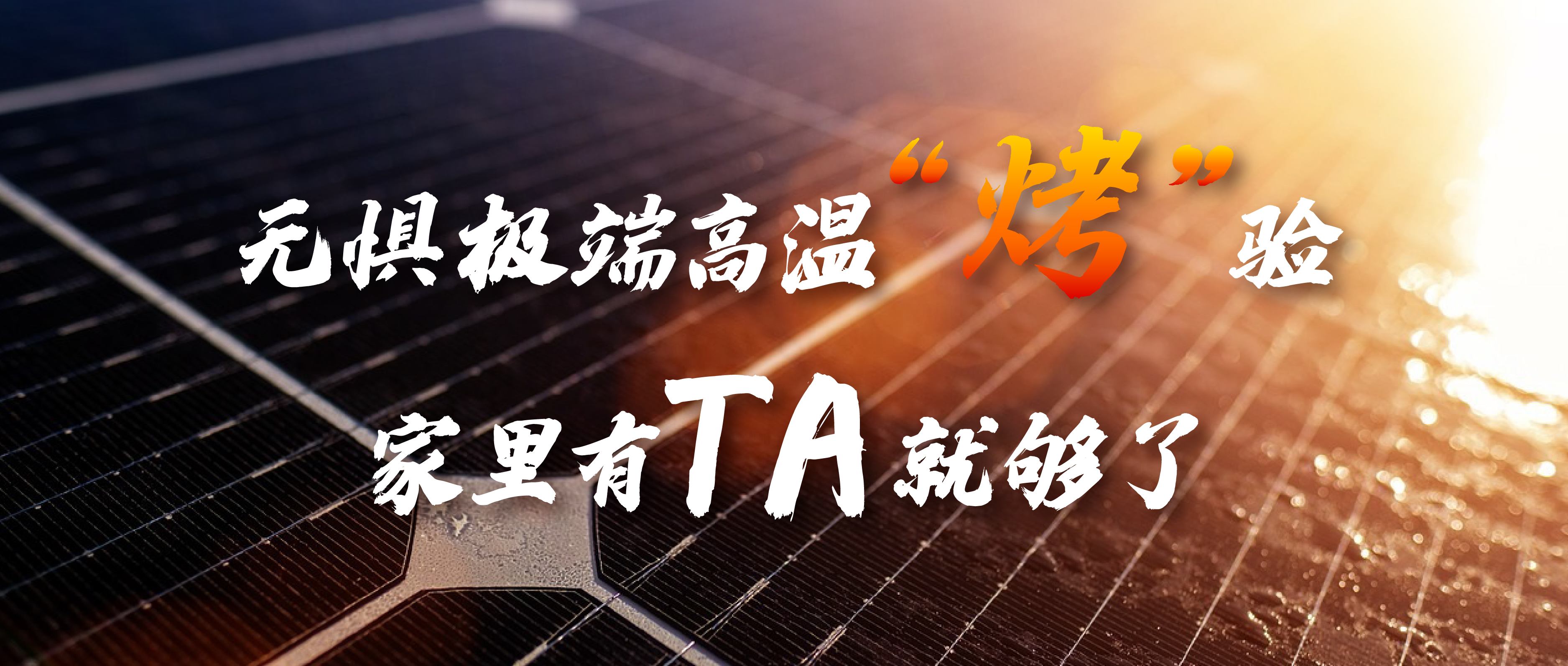 无惧极端高温“烤”验，家里有TA就够了