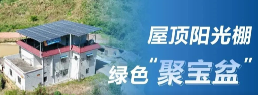 中国新闻网：正泰安能阳光棚成广东龙川用户“聚宝盆”