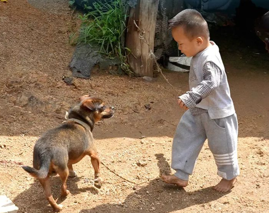 屋顶看乡村 | 幼有所长！“沐光庭”点亮留守儿童阳光未来