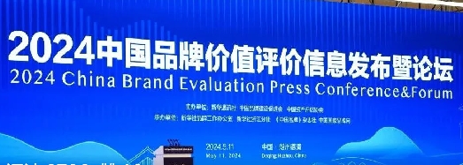 屋顶上的品牌范｜2024中国品牌价值评价信息发布，正泰安能登榜！