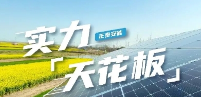 五大维度打造品质电站，又被正泰安能「装」到了