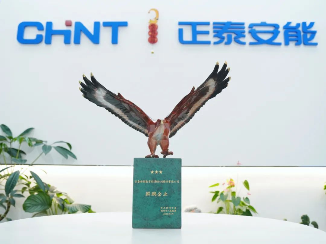 “泰”赞了！正泰安能再获“鲲鹏企业”荣誉称号